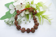 Siddha 1-14 Mukhi Java Rudraksha Bracelet - Ultimate Spiritual Accessory | Brahmatells - BrahmatellsStore
