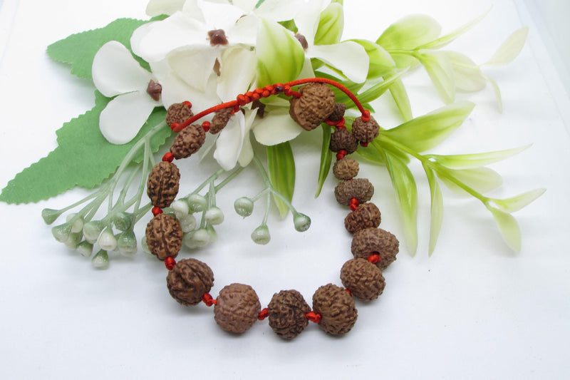 Siddha 1-14 Mukhi Java Rudraksha Bracelet - Ultimate Spiritual Accessory | Brahmatells - BrahmatellsStore