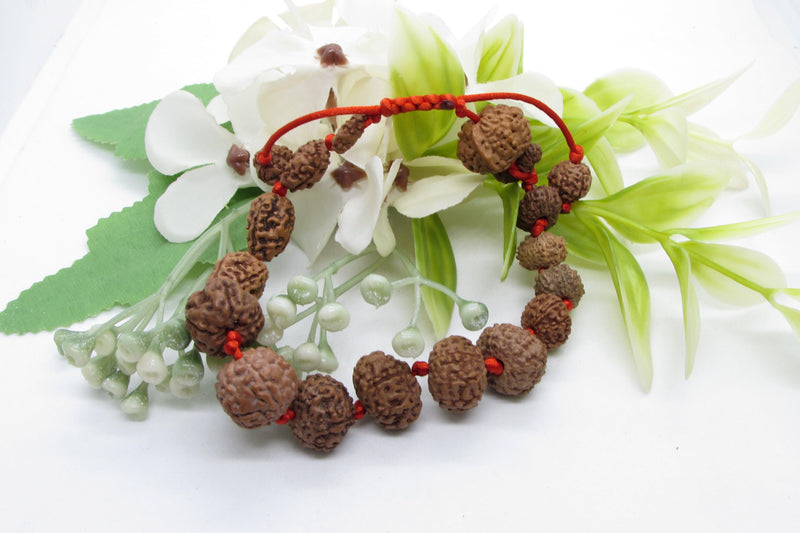 Siddha 1-14 Mukhi Java Rudraksha Bracelet - Ultimate Spiritual Accessory | Brahmatells - BrahmatellsStore