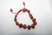 Siddha 1-14 Mukhi Java Rudraksha Bracelet - Ultimate Spiritual Accessory | Brahmatells - BrahmatellsStore