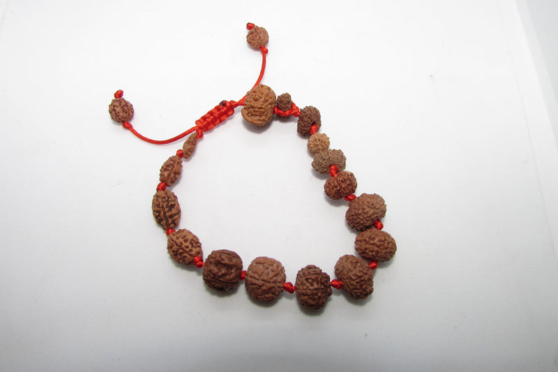 Siddha 1-14 Mukhi Java Rudraksha Bracelet - Ultimate Spiritual Accessory | Brahmatells - BrahmatellsStore
