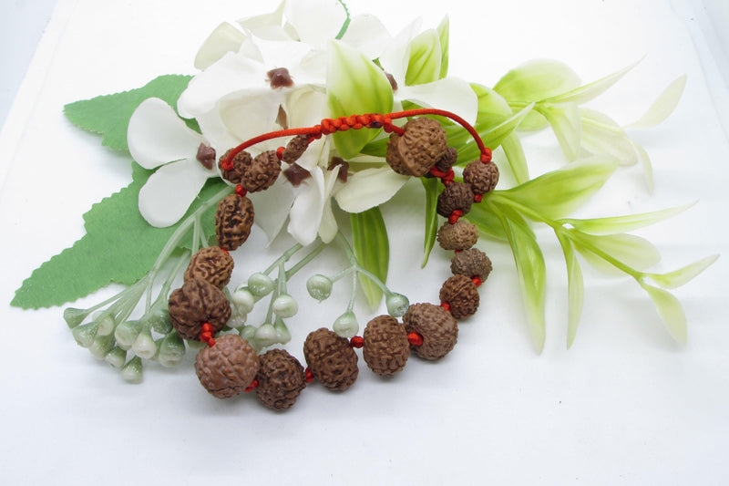 Siddha 1-14 Mukhi Java Rudraksha Bracelet - Ultimate Spiritual Accessory | Brahmatells - BrahmatellsStore