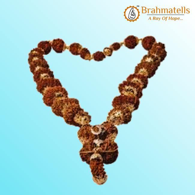 Siddha Mala with 1-14 Mukhi, Ganesh & Gaurishankar Rudraksha - Unique Vedic Accessory | Brahmatells - BrahmatellsStore