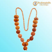 Siddha Mala with 1-14 Mukhi, Ganesh & Gaurishankar Rudraksha - Unique Vedic Accessory | Brahmatells - BrahmatellsStore