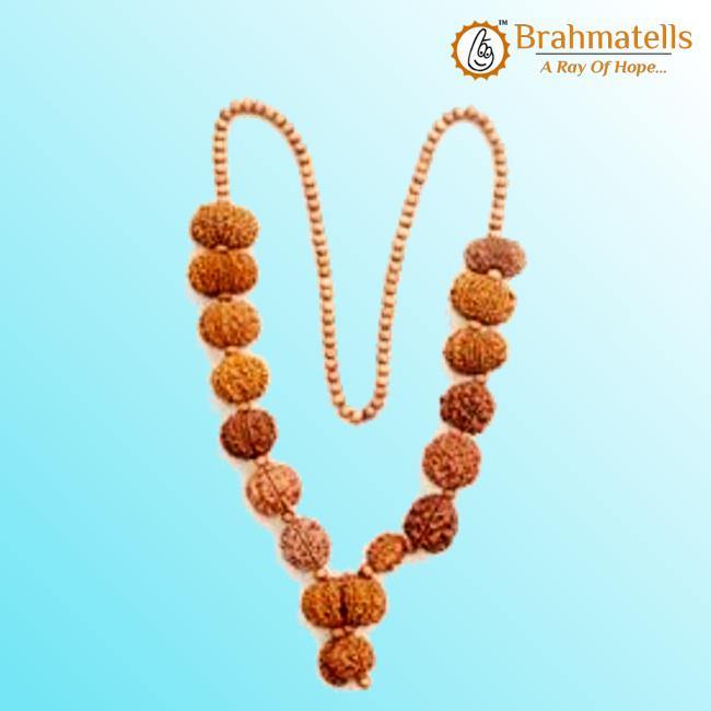 Siddha Mala with 1-14 Mukhi, Ganesh & Gaurishankar Rudraksha - Unique Vedic Accessory | Brahmatells - BrahmatellsStore