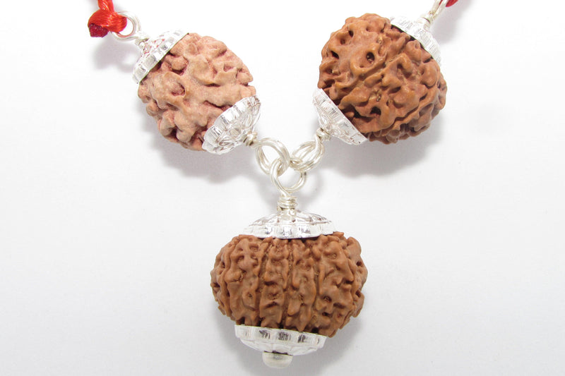 Sports Players' Rudraksha Pendant - Focus & Strength | Brahmatells - BrahmatellsStore