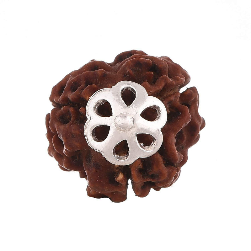 Three Mukhi Rudraksha Pendant - Unleash Lord Agni's Energy | Brahmatells - BrahmatellsStore