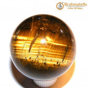 Tiger's Eye (South Africa) - BrahmatellsStore