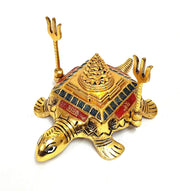 Tortoise meru shri Yantra bherav Kachua, for Good Luck - BrahmatellsStore