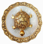 Tortoise on Plate for Vastu - BrahmatellsStore