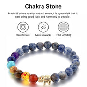 Triple Protection 7 Chakra Beads Bracelet - Balance & Harmony - BrahmatellsStore