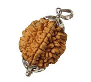 Two Mukhi Rudraksha Silver Pendant - Uniting Dual Energies | Brahmatells - BrahmatellsStore