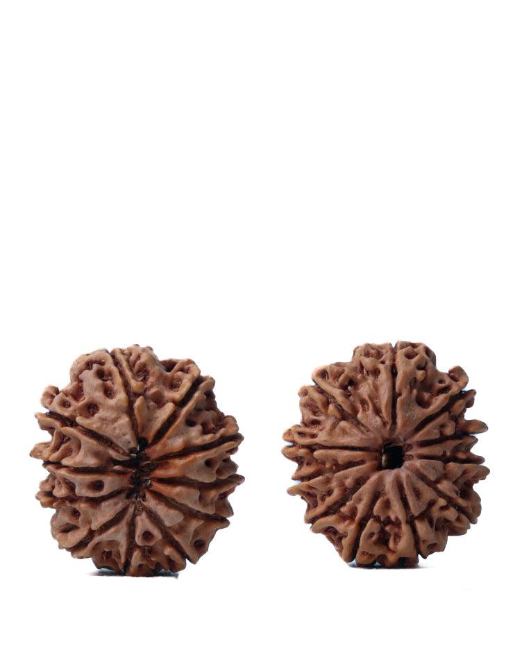 Unlock the Power of 11 Mukhi Rudraksha - Spiritual Mastery with Brahmatells - BrahmatellsStore