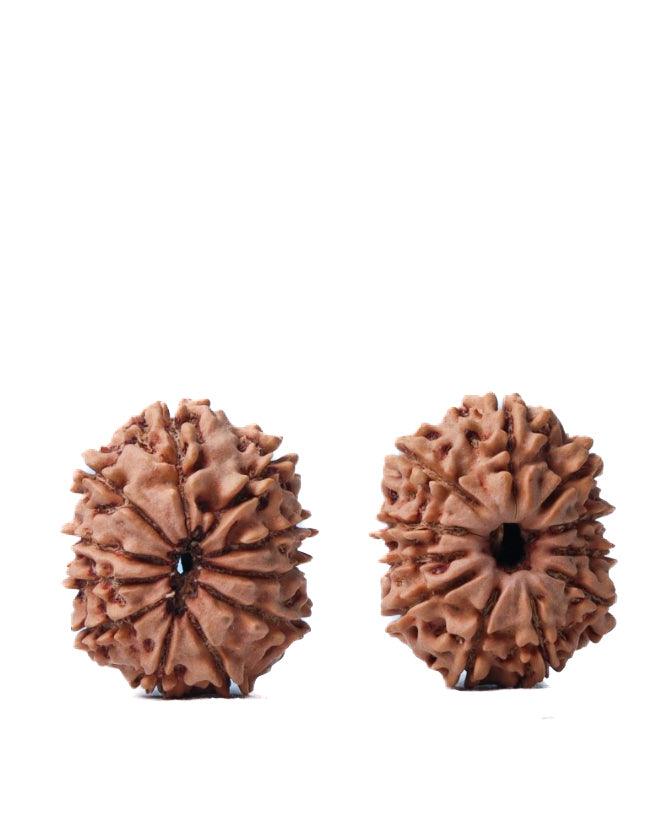 Unlock the Power of 11 Mukhi Rudraksha - Spiritual Mastery with Brahmatells - BrahmatellsStore