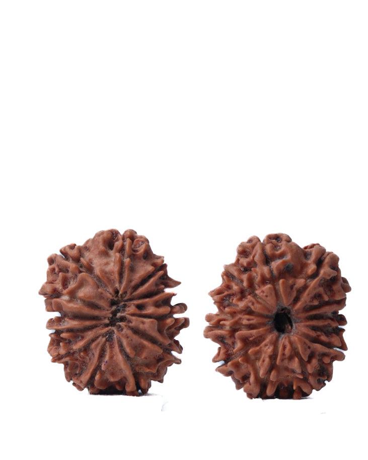 Unlock the Power of 11 Mukhi Rudraksha - Spiritual Mastery with Brahmatells - BrahmatellsStore