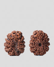 Unlock the Power of 11 Mukhi Rudraksha - Spiritual Mastery with Brahmatells - BrahmatellsStore