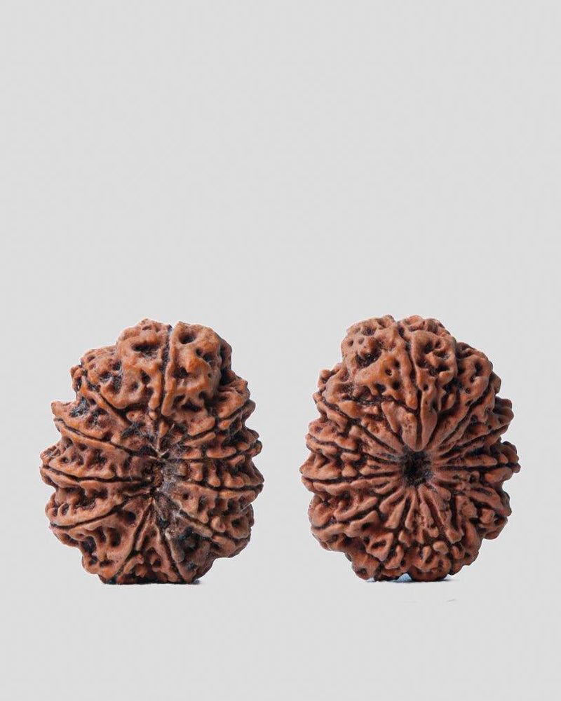 Unlock the Power of 11 Mukhi Rudraksha - Spiritual Mastery with Brahmatells - BrahmatellsStore