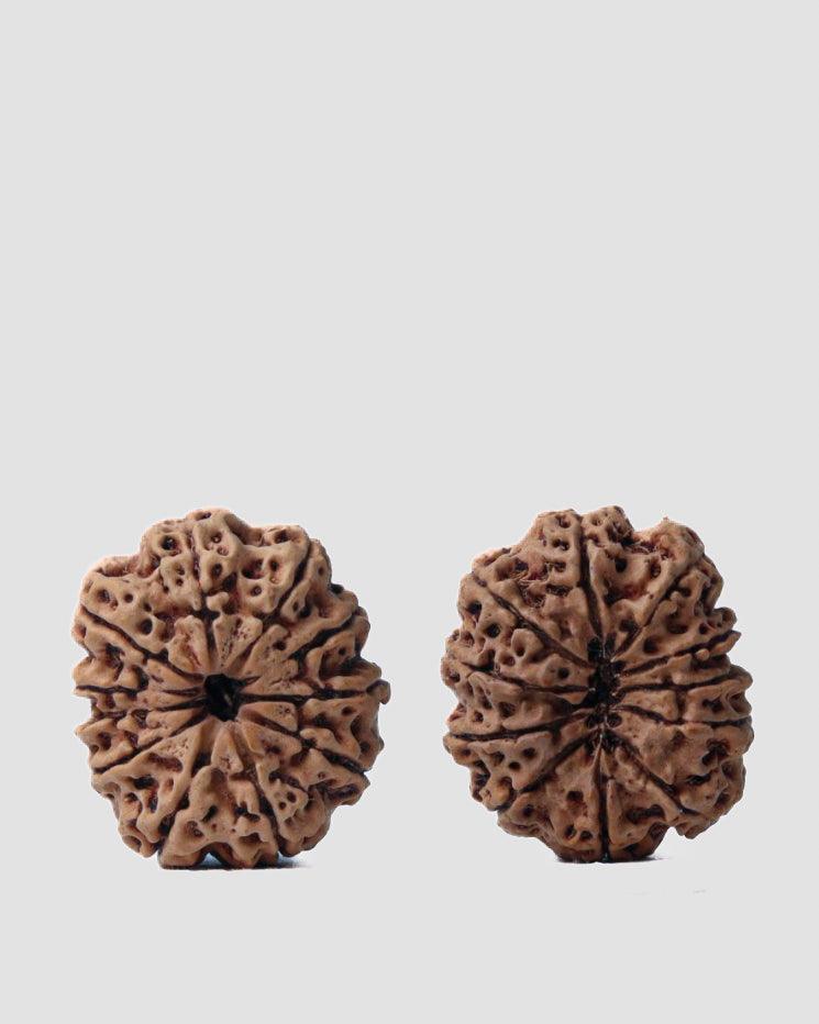 Unlock the Power of 11 Mukhi Rudraksha - Spiritual Mastery with Brahmatells - BrahmatellsStore