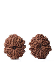 Unlock the Power of 11 Mukhi Rudraksha - Spiritual Mastery with Brahmatells - BrahmatellsStore