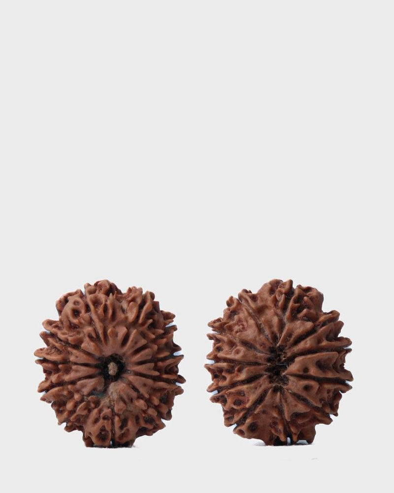 Unlock the Power of 11 Mukhi Rudraksha - Spiritual Mastery with Brahmatells - BrahmatellsStore