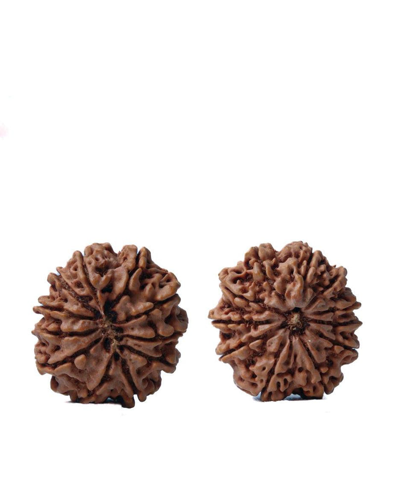 Unlock the Power of 11 Mukhi Rudraksha - Spiritual Mastery with Brahmatells - BrahmatellsStore