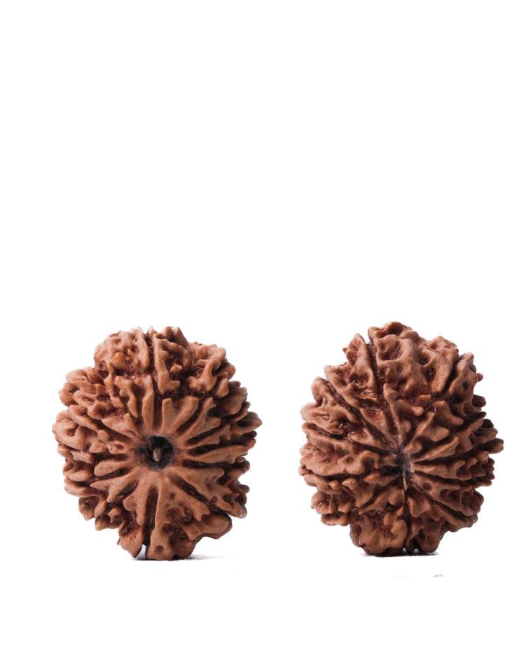 Unlock the Power of 11 Mukhi Rudraksha - Spiritual Mastery with Brahmatells - BrahmatellsStore