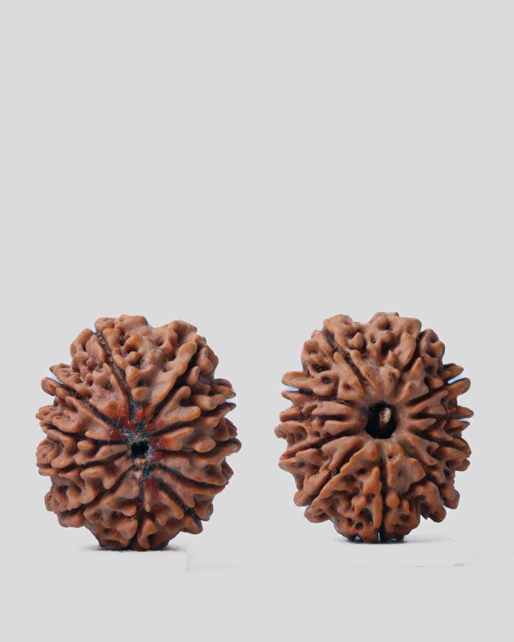 Unlock the Power of 11 Mukhi Rudraksha - Spiritual Mastery with Brahmatells - BrahmatellsStore