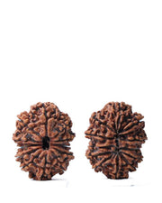 Unlock the Power of 11 Mukhi Rudraksha - Spiritual Mastery with Brahmatells - BrahmatellsStore