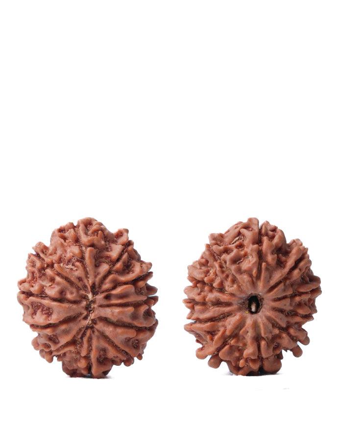 Unlock the Power of 11 Mukhi Rudraksha - Spiritual Mastery with Brahmatells - BrahmatellsStore
