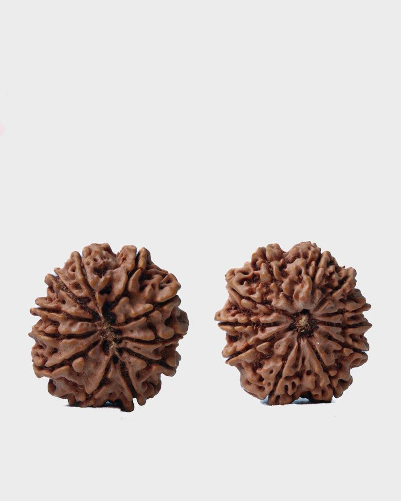 Unlock the Power of 11 Mukhi Rudraksha - Spiritual Mastery with Brahmatells - BrahmatellsStore