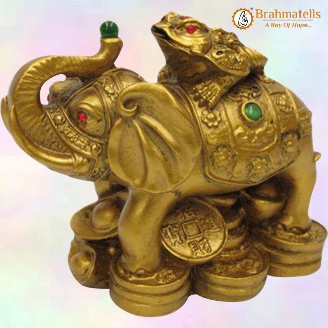 Vastu Feng Shui Money Frog On Elephant- Polyresin - BrahmatellsStore