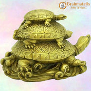 Vastu Feng Shui- Triple Tortoise sober - BrahmatellsStore