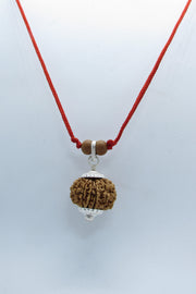 Venus-Inspired Taurus Rudraksha - 13 Mukhi Bead from Nepal | Brahmatells - BrahmatellsStore
