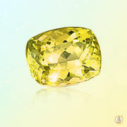 Yellow sapphire mustard BTYS105GSM - BrahmatellsStore